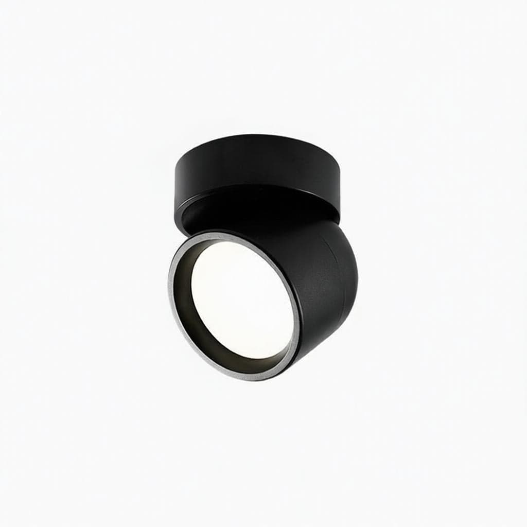 Jorvenithae | Surface Mounted Light