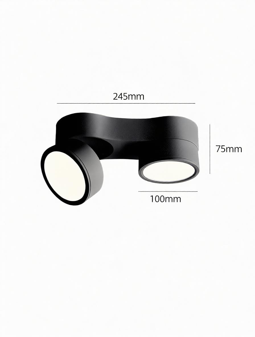Kelryssarae | Surface Mounted Light
