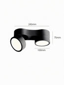 Kelryssarae | Surface Mounted Light