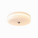 Varnysa | Ceiling Mounted Light