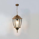 Myralith | Outdoor Pendant Light