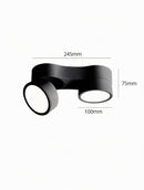 Kelryssarae | Surface Mounted Light