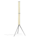 Dhaliora | Floor Lamp