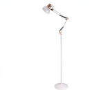 Borenzo | Floor Lamp Swing Arm