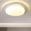 Francis | Ceiling Mounted Light