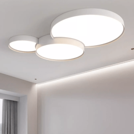 Evelin | Ceiling Mounted Light