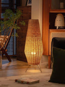 Elenith | Floor Lamp