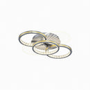 Orlunie R | Ceiling Mounted Light