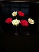 Fyrandra I Crystal Floor Lamp (ch)