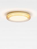 Fenelira I Retro Ceiling Mounted Light