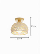 Farlon Une | Semi Flush Mounted Light
