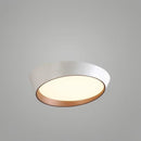 Rienzi | Ceiling Mounted Light