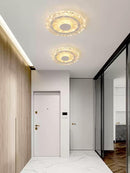 Sarvek | Ceiling Mounted Light