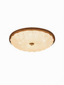 Daelina A | Ceiling Mounted Light