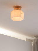 Vylenora A I Semi Flush Mounted Light