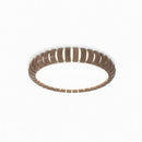 Irelun | Ceiling Mounted Light