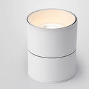 Zolten | Surface Mounted Spotlight