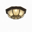 Syrenrae | Ceiling Mounted Light