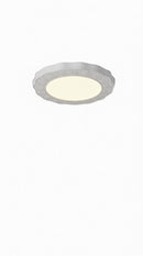 Froemke | Ceiling Mounted Light