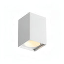 Valenrylora | Surface Mounted Light