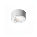 Sylarenil | Surface Mounted Light