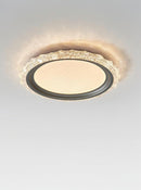 Sylvathra | Ceiling Mounted Light