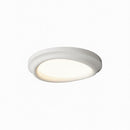Caelmira | Ceiling Mounted Light