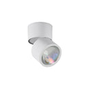 Lyrvenoria | Surface Mounted Light