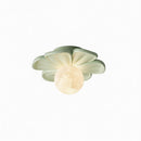 Cairinna A | Ceiling Mounted Light