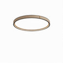 Minerich | Ceiling Mounted Light