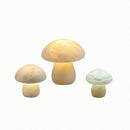 Hallithia | Alabaster Table Lamp