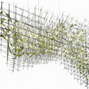 Ryvethel I Cluster Chandelier