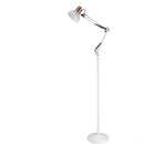 Borenzo | Floor Lamp Swing Arm