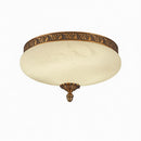 Silvareon | Ceiling Mounted Light