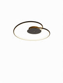 Tarniella | Ceiling Mounted Light