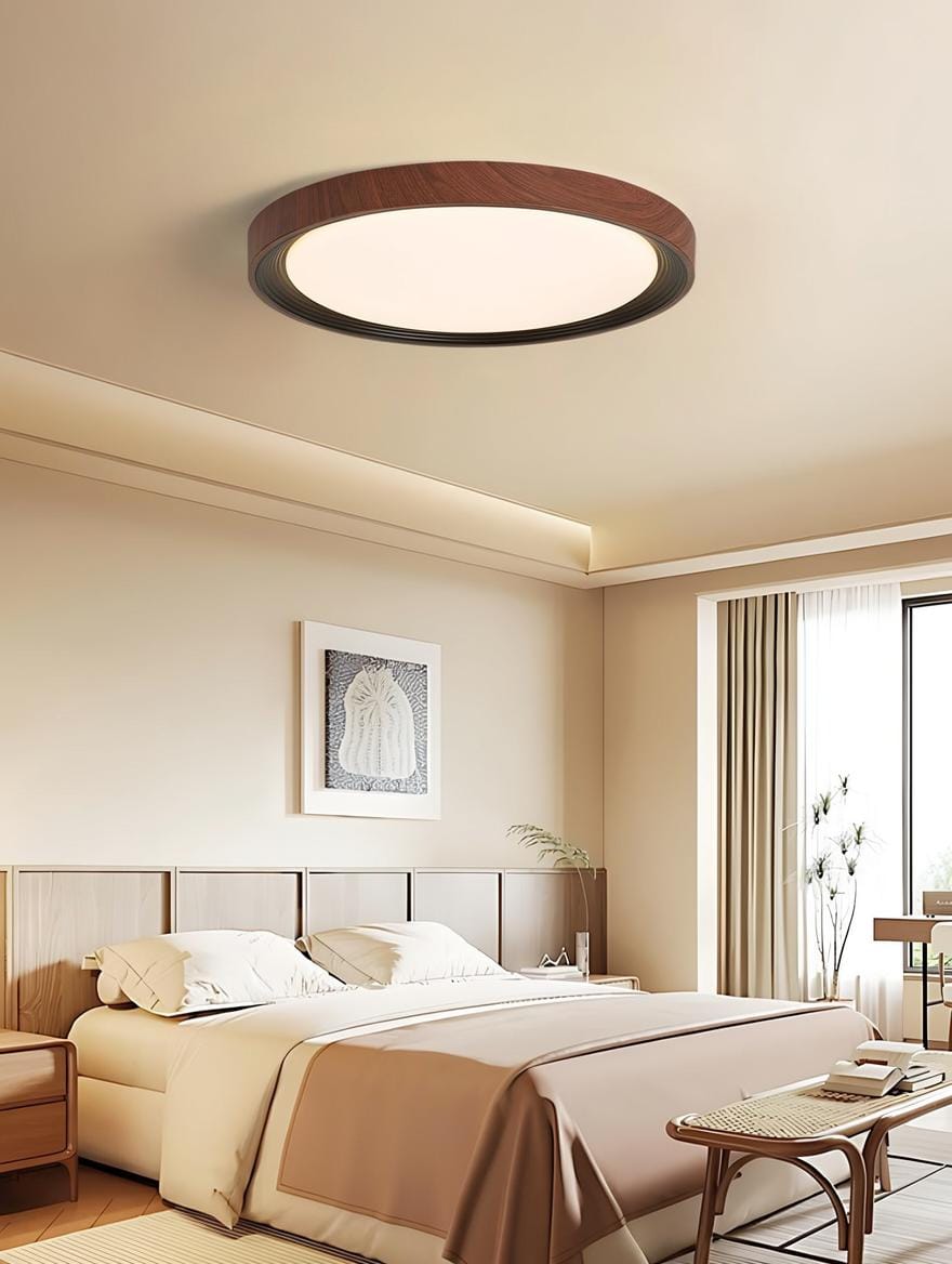 Ireniel | Ceiling Mounted Light - Detail View #2 | HomeCartel
