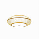 Lyrranve | Ceiling Mounted Light