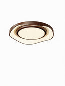 Lyraeen | Ceiling Mounted Light