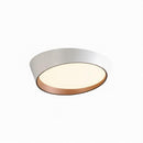 Rienzi | Ceiling Mounted Light
