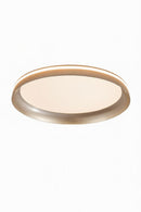 Mocek | Ceiling Mounted Light