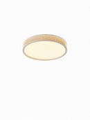 Virendre Une | Ceiling Mounted Light