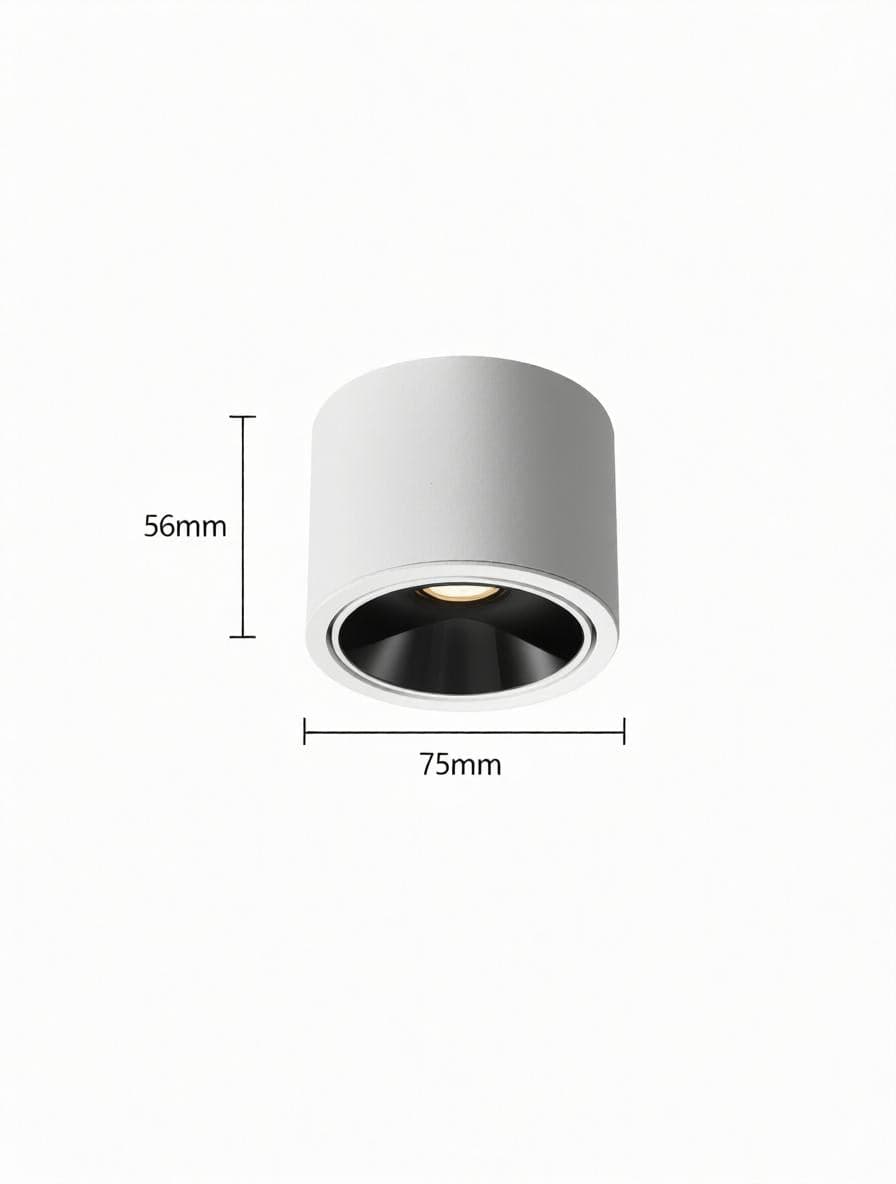 Jonvaleriae | Surface Mounted Light