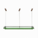 Amrenia | Pendant Light
