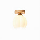 Paelithara I Semi Flush Mounted Light