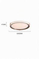 Chavez | Ceiling Mounted Light