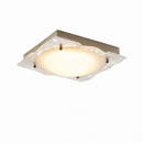 Tharionae I Ceiling Mounted Light