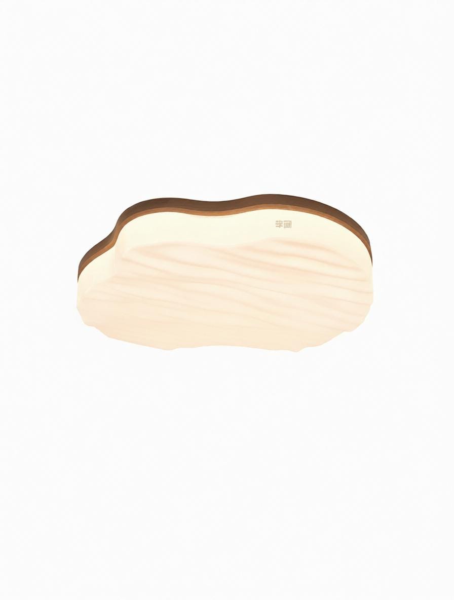 Torinell B | Ceiling Mounted Light - Detail View #2 | HomeCartel