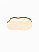 Torinell B | Ceiling Mounted Light
