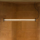 Welorin | Pendant Light