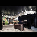 Vivaryn I Cluster Chandelier